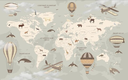 Карта мира №21