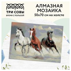 Almaz qaşlarla mozaika \ Алмазная мозаика \ Diamond painting  ТРИ СОВЫ "Тройка лошадей", 50*70см