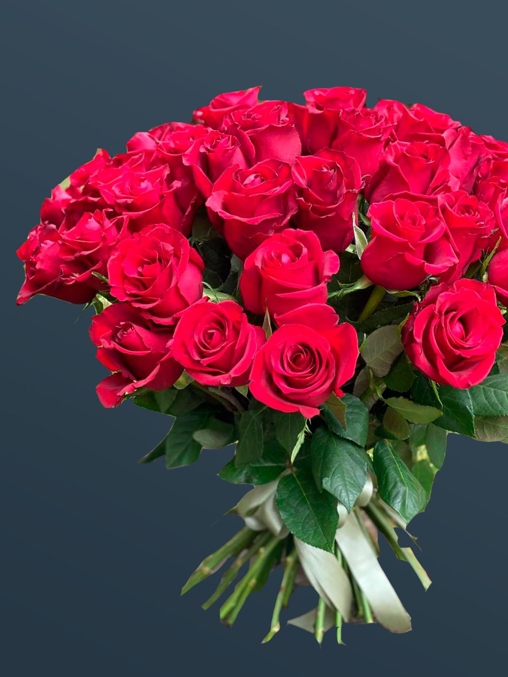Розы 51 шт