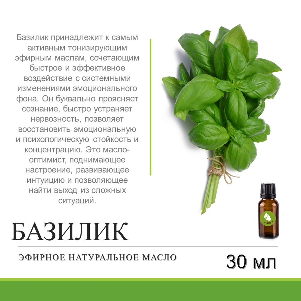 Эфирное масло базилика / Ocimum Basilicum Oil