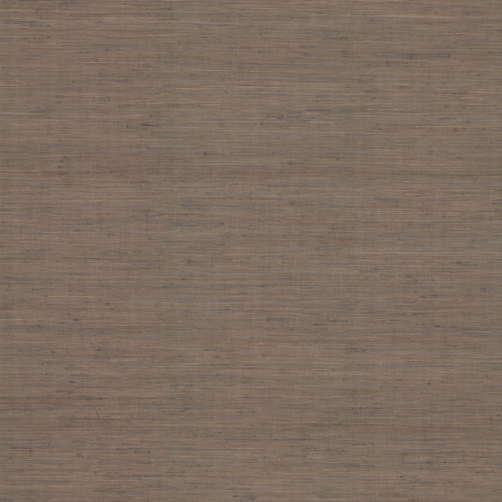 Ronald Redding Traveler