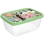 Контейнер для продуктов прямоугольный 0,5л, Botanica, с декором (зеленый)