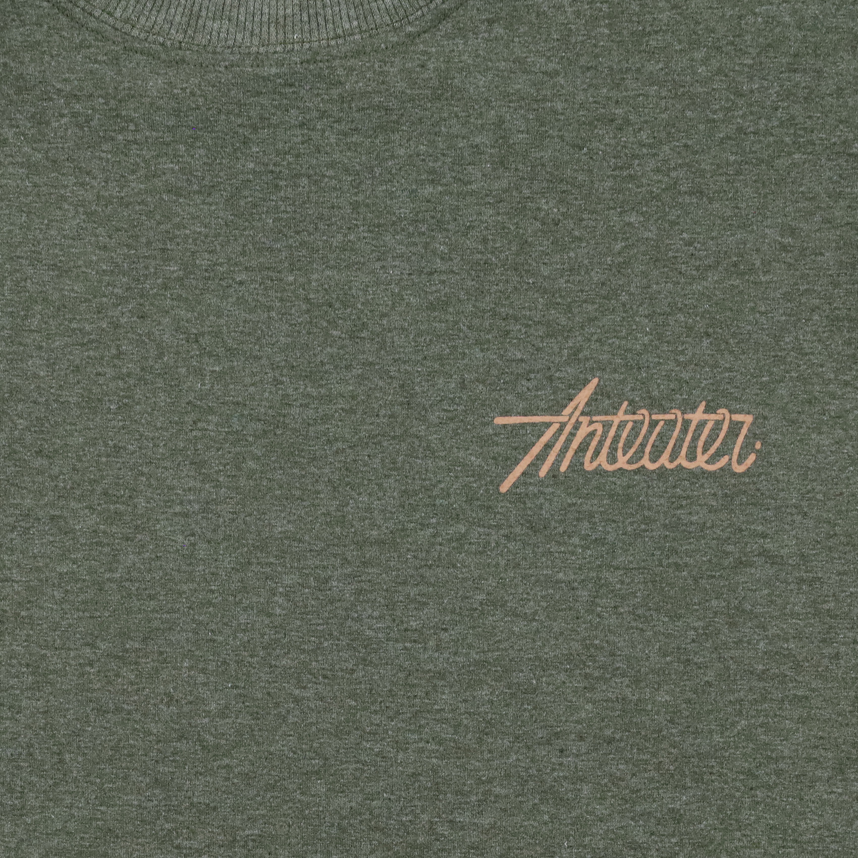Лонгслив Anteater Phat Long107 (green) артикул: - купить в магазине Дайс