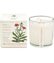Catalan Calendula, свеча The Seeds, Kobo Candles