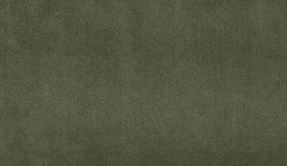 Велюр Camel (Кэмел) 16