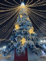 Светодинамическая елка ствольная - встроенная гирлянда: Теплый свет - "Таежная" от 11 до 21 м