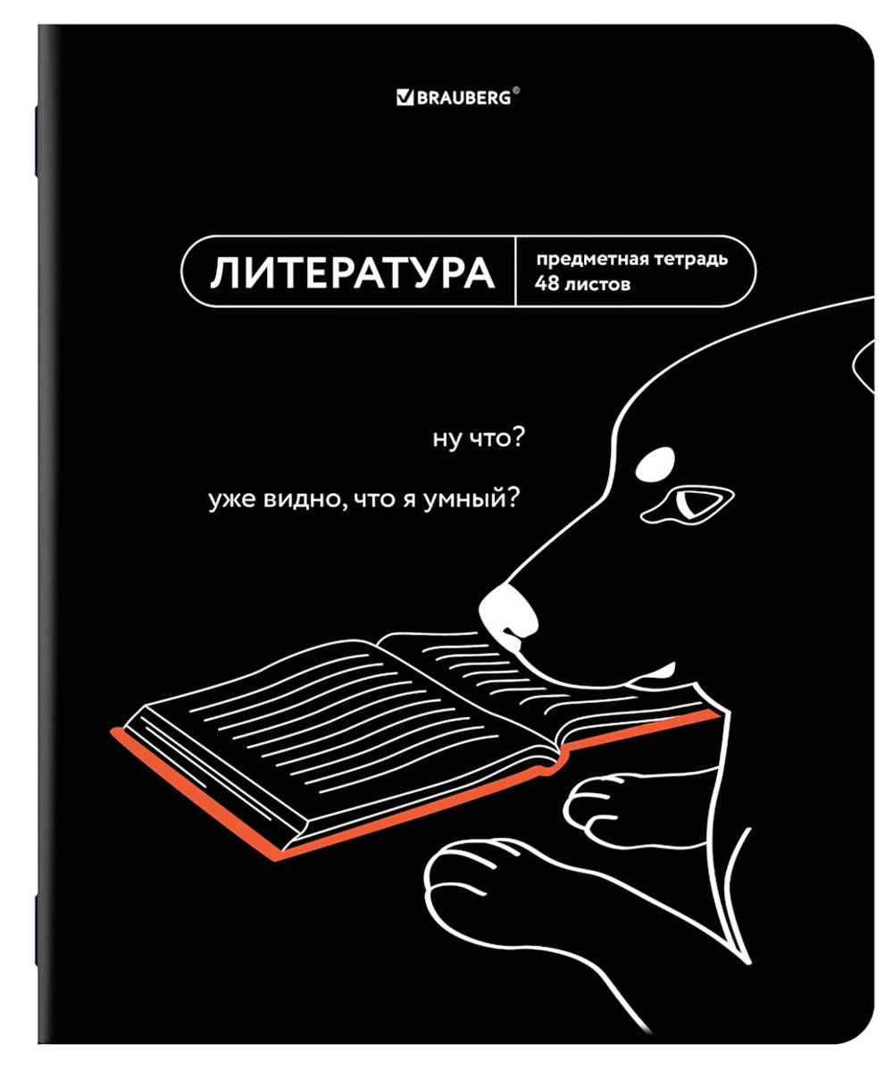 Тетрадь предмет. А5 48л. линия "Мемы" Литература twin лак, подсказки (BRAUBERG)