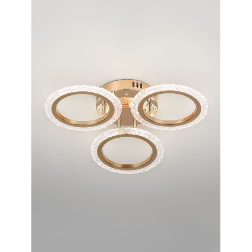 Светильник потолочный светодиодный Rivoli Evlalia 6178-703 LED 42Вт 3000-6000К с пультом | Rivoli