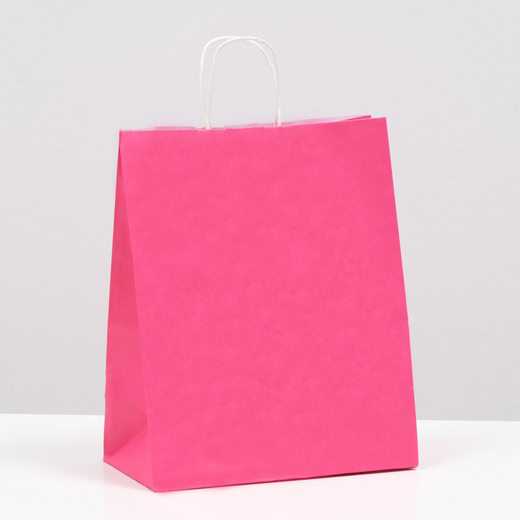 Крафт пакет 220 х 120 х 270 мм с крученными ручками, малиновый
