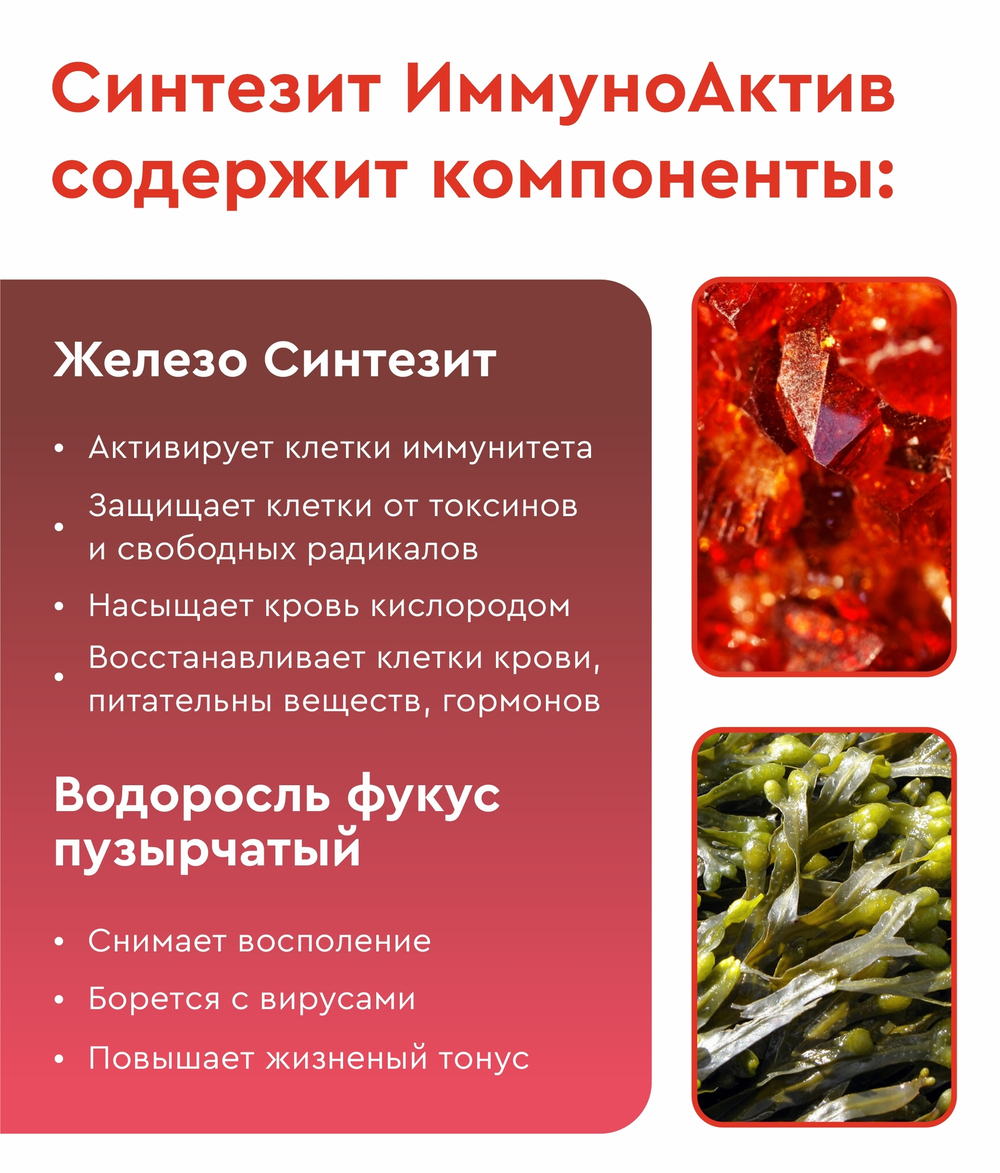 Синтезит ИммуноАктив