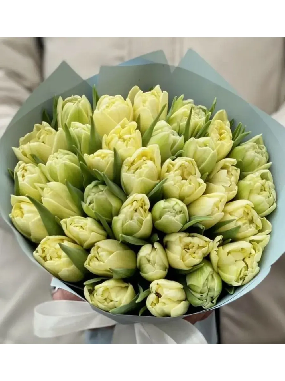 Тюльпаны Avant Garde 4 шт, набор луковиц