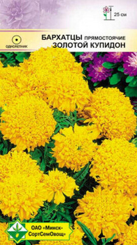 Бархатцы "Золотой Купидон" 0.3г., Германия.
