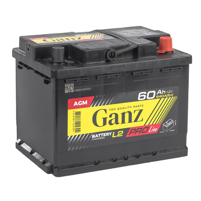 Аккумулятор GANZ PRO-Line AGM 60 А/ч обратный R+ 242x175x190 L2 EN 640 А