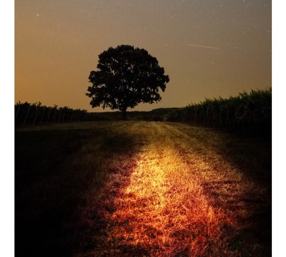 Прожектор LED переносной ll-951 50Вт 6400К 1000Лм с ЗУ (аккумуляторный 10ч работы) IP66 Feron 48676