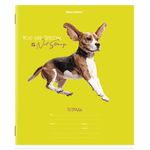 Тетрадь 18 л. BRAUBERG линия, обложка картон, "СОБАЧКИ", 106481, 5шт