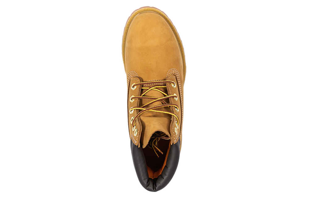 Timberland 6 Inch Waterville Double Collar "Wheat" Women"s