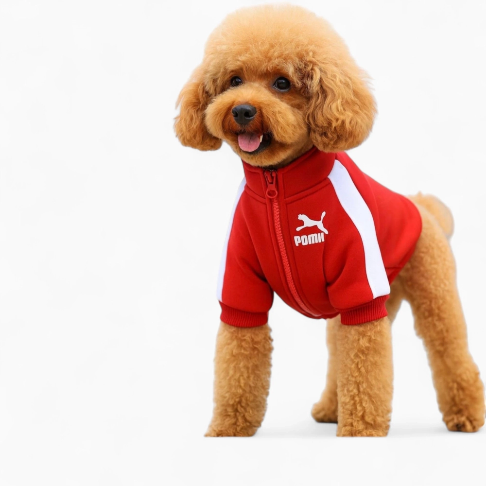 Кофта спортивная  «Jump»