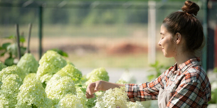 Ориентировочные сроки поставки растений по предзаказу 2026