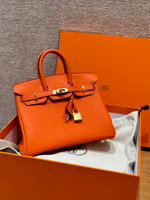 Hermes Birkin 25