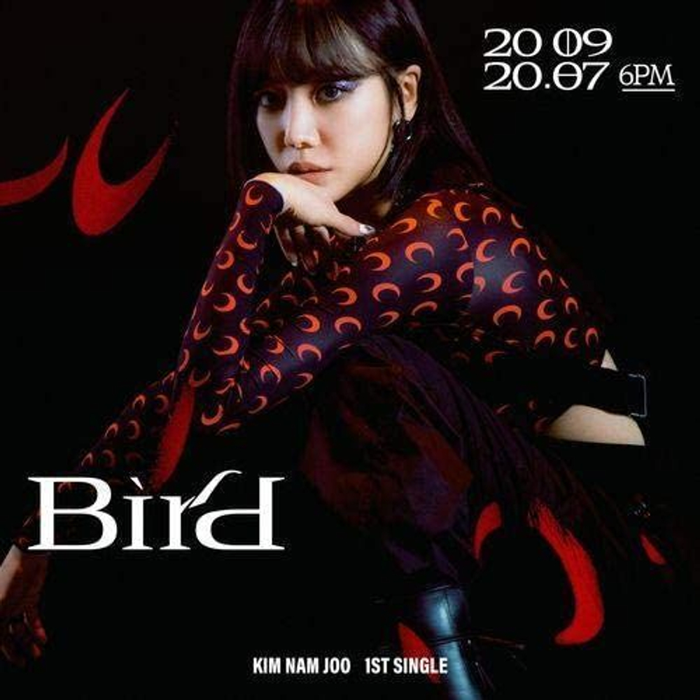 Альбом Kim Namjoo (Apink) - Bird 1st Single Album