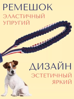Прочная игрушка-мяч для собак средних-мелких пород