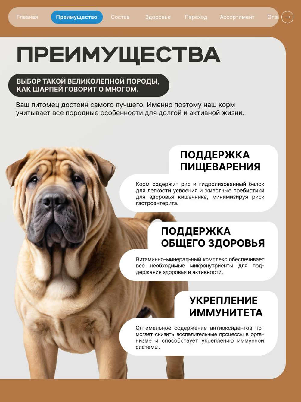 Корм сухой для взрослых собак породы Шарпей, премиум полнорационный комплекс, с лососем, 12 кг, QUATTRO