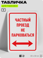 Табличка для парковки "Частный проезд, не парковаться", для дома, офиса, организаций, 40х30 см, Silver Plane x Айдентика Технолоджи