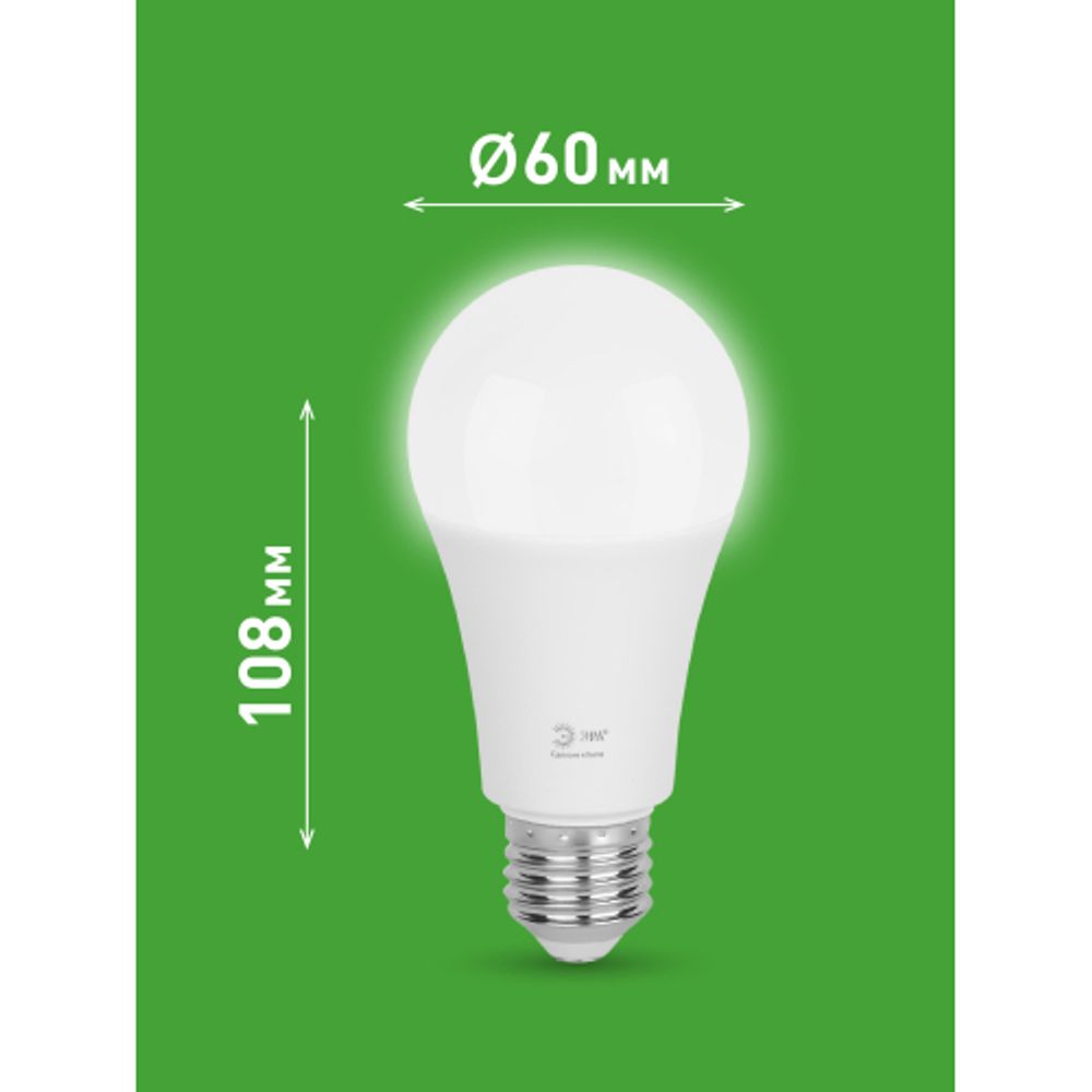 Лампа светодиодная ЭРА GREEN LINE LED A60-25W-840-E27 GL 25Вт груша яркий белый свет E27 | Лампы cветодиодные Груша (A)