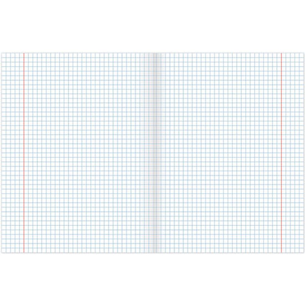 Тетрадь предметная "SILVER" 48 л., С СЕРЕБРЯНОЙ ОБЛОЖКОЙ, ОБЩЕСТВОЗНАНИЕ, клетка, подсказ, BRAUBERG, 404013