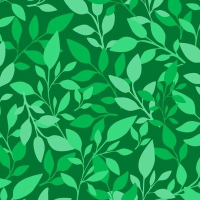 Зеленые листья, ветки