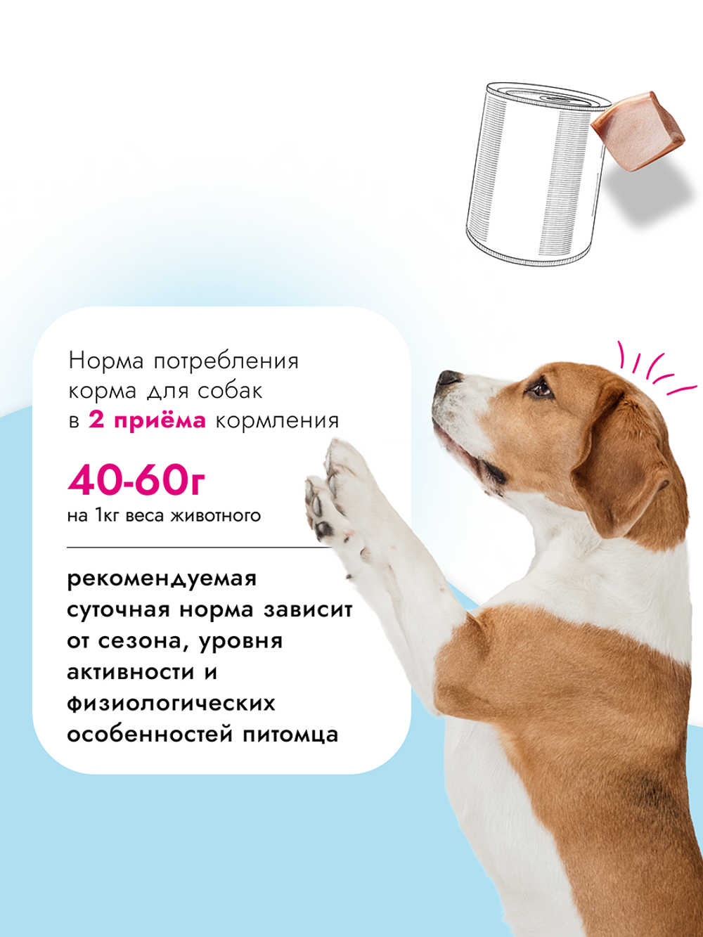 Консервы диета Best Dinner Vet Profi Recovery повышенной калорийности для кошек и собак при истощении и послеоперационном восстановлении 100 г
