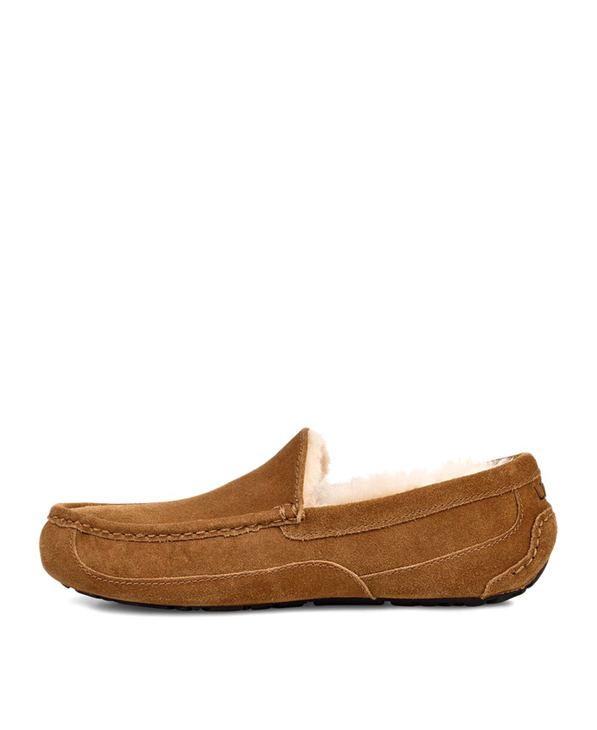 ASCOT MENS chestnut