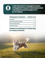 Vita+ мультивитаминное лакомство для собак Здоровые суставы, 90 таблеток