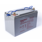 Тяговая аккумуляторная батарея EVEREST TNE 12-125
