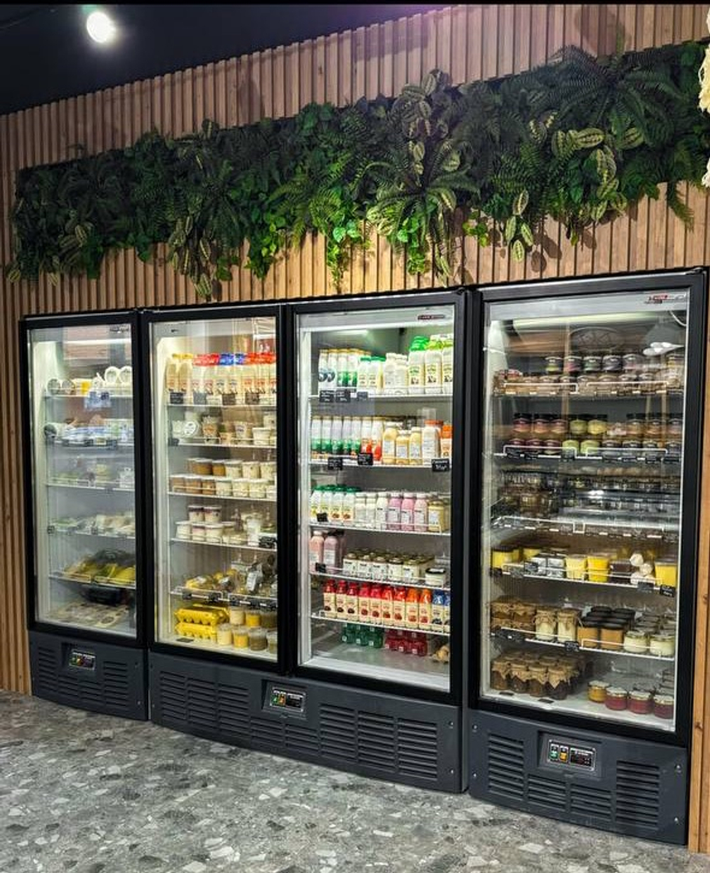 Вертикальное озеленение искусственными растениями