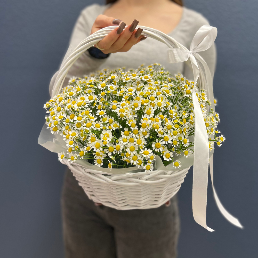 Корзина из 15 матрикарий #24