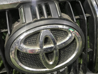 Решетка радиатора Toyota Land Cruiser Prado 150 (2017-н.в.)