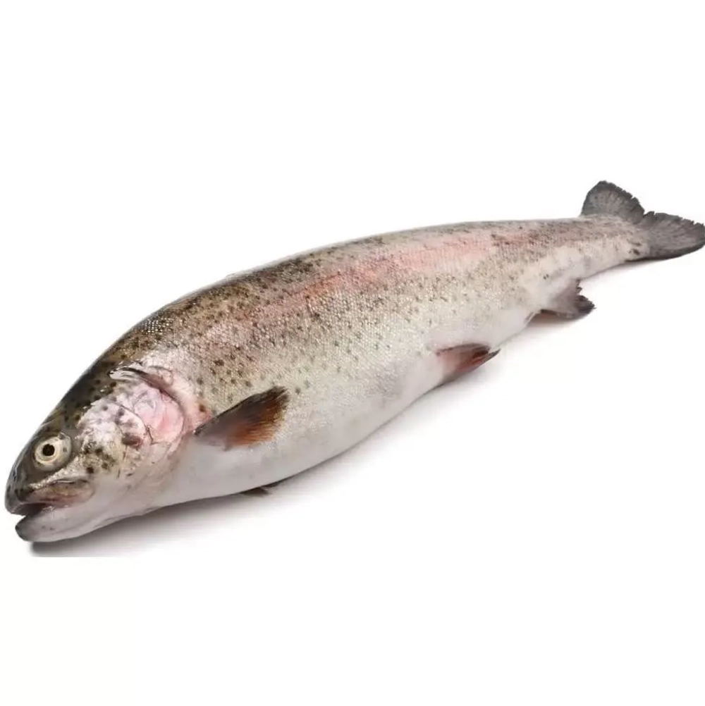 Форель Радужная с/м н/р 300-500 Фасовка 1/5кг