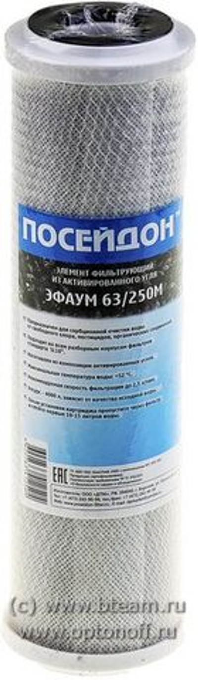 Картридж Посейдон ЭФАУМ 63/250-М (угольный) SL10
