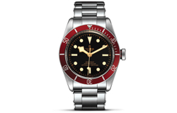 TUDOR Black Bay M79230R 0012