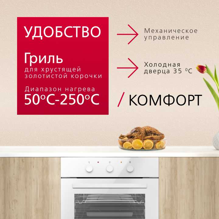 Духовой шкаф Hansa BOEW64111