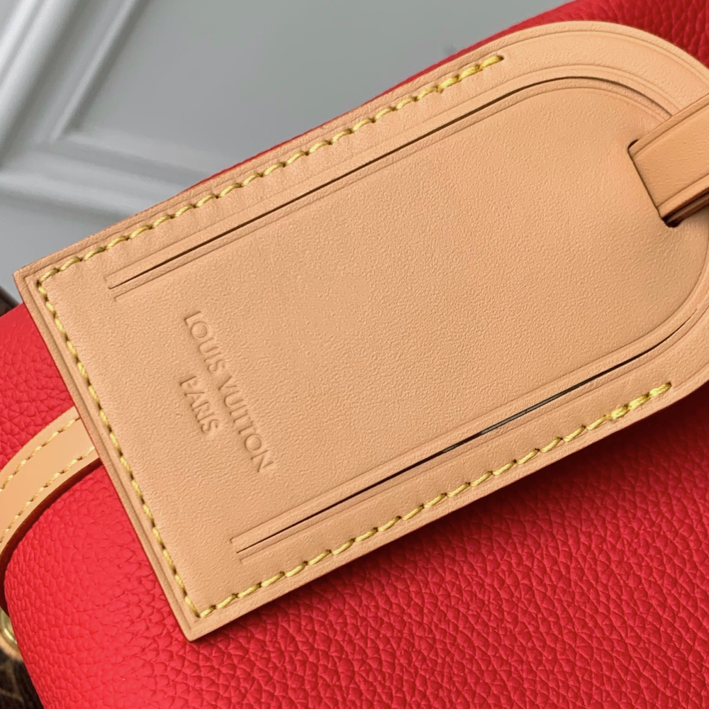 Louis Vuitton Bag 25 cm