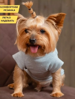 Футболка для собак мелких средних пород и кошек