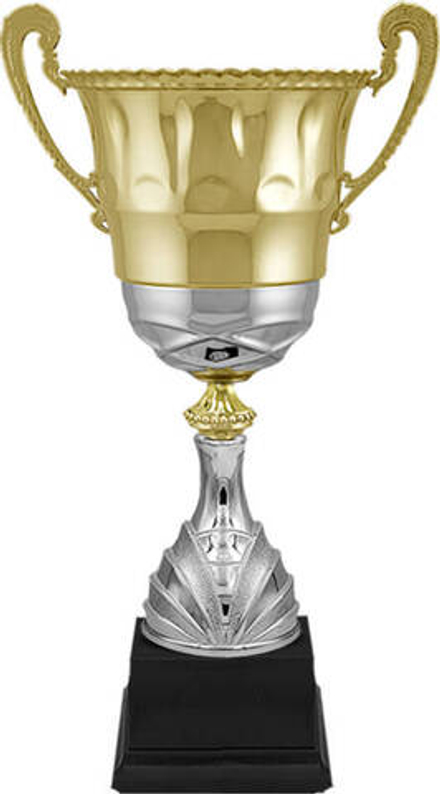 Кубок "Гастон"