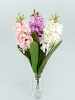 Гиацинт премиум