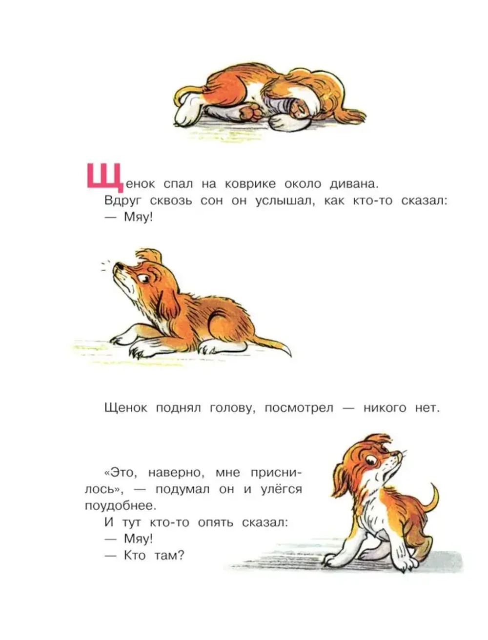 Кто сказал "мяу"?