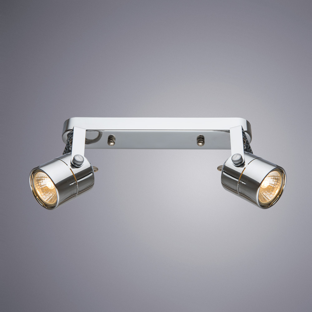 Светильник потолочный Arte Lamp Lente A1310PL-2CC