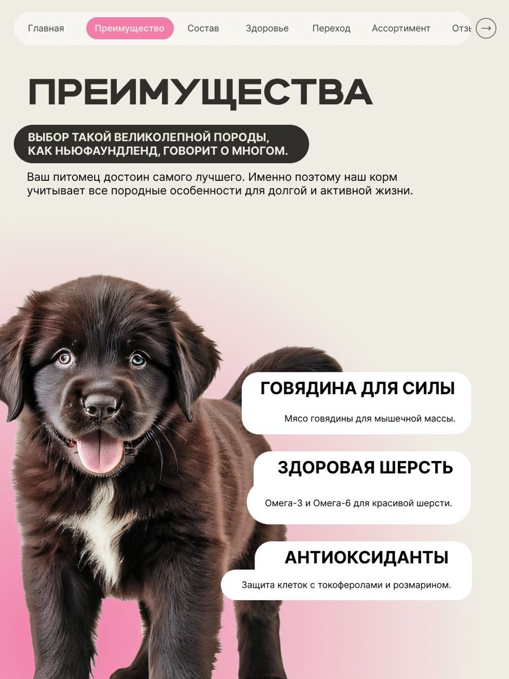 Корм сухой для щенков породы Ньюфаундленд, с говядиной, 12 кг, QUATTRO