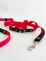 Шлейка для собак, Биотан, 25 мм , L размер ,средние и крупные породы, красный и черный
