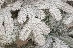 Заснеженная елка «Камчатская» (литая+пвх) 270 см / 2.7 м